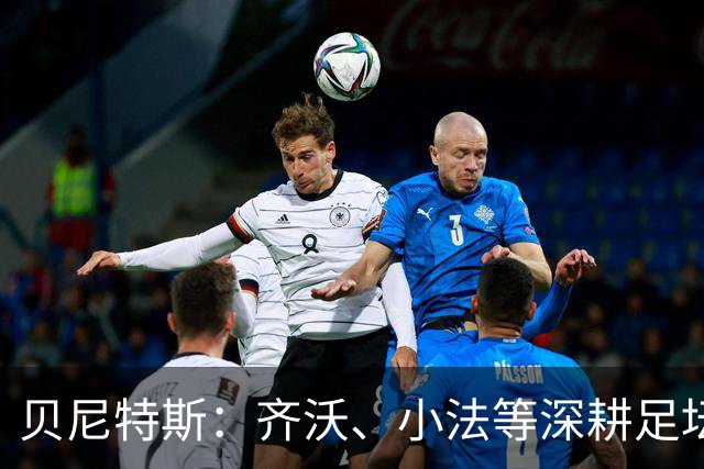贝尼特斯：齐沃、小法等深耕足坛的人，就是意甲球队最可靠的底气